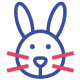 picto_204x204_lapin_bicolore picto lapin