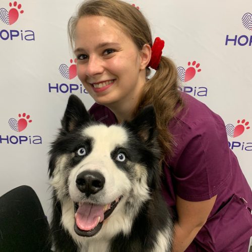 Photo gwenaelle ropars 2022 Photo gwenaelle ropars 2022