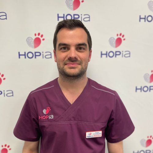 ffb2221c-99b5-4ee2-83bd-41d64143bb4a ffb2221c-99b5-4ee2-83bd-41d64143bb4a