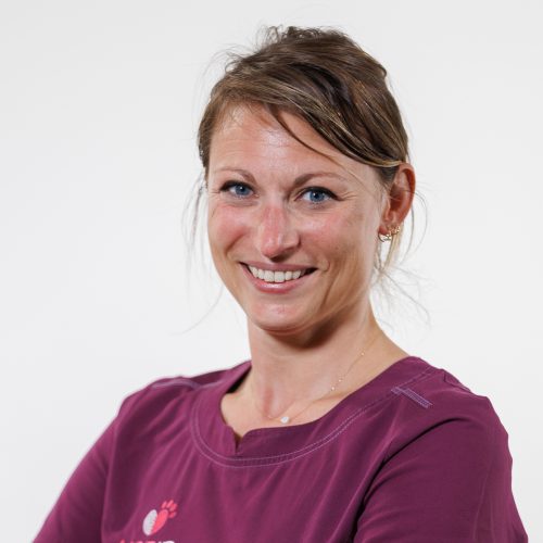 2023-06-27 - 02 2023-06-27 - 02