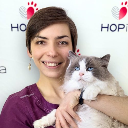 f8c39598-8917-4bec-b61b-c6ab8b33e68d f8c39598-8917-4bec-b61b-c6ab8b33e68d