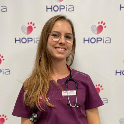 8d7eae59-b1c9-4feb-abdd-ce4c223cf8ec 8d7eae59-b1c9-4feb-abdd-ce4c223cf8ec