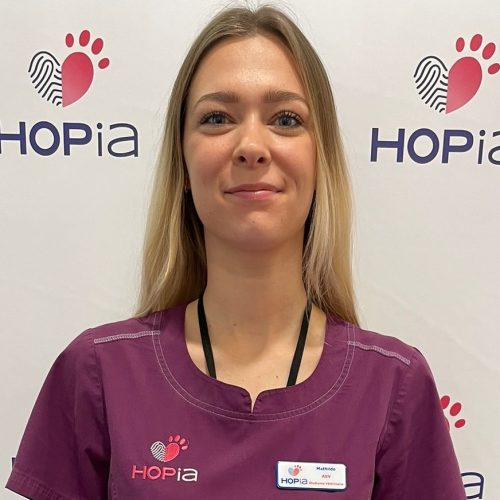 WhatsApp Image 2025-02-11 à 10.37.04_41e85163 WhatsApp Image 2025-02-11 à 10.37.04_41e85163