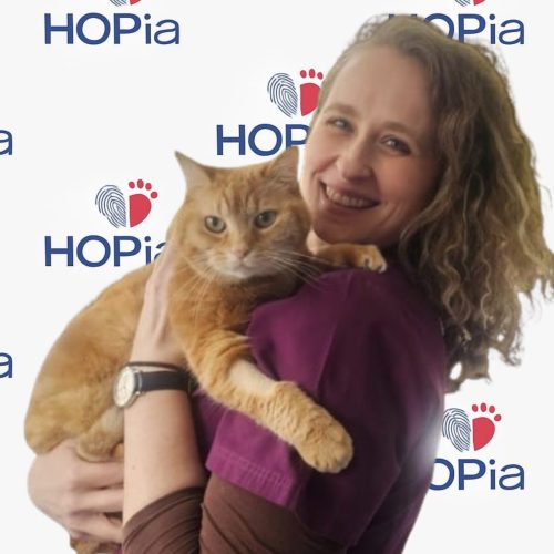 96691fd9-6d1b-4230-bcd0-70884c3c98b8 96691fd9-6d1b-4230-bcd0-70884c3c98b8