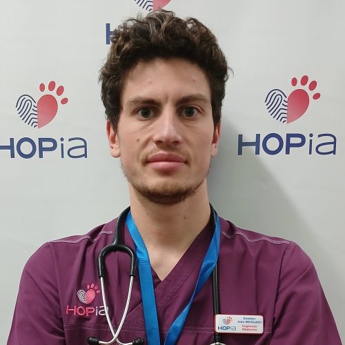 Jean NICOLAZO Jean NICOLAZO