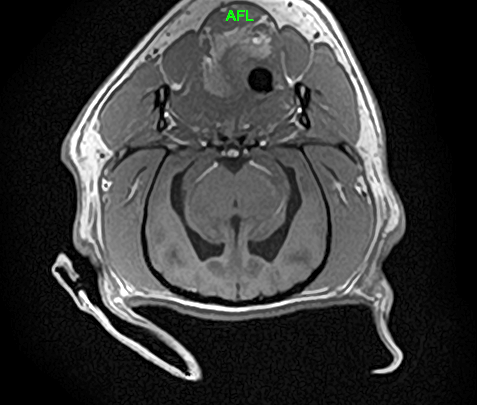 Capture d’écran 2026-02-16 110316 Capture d’écran 2026-02-16 110316